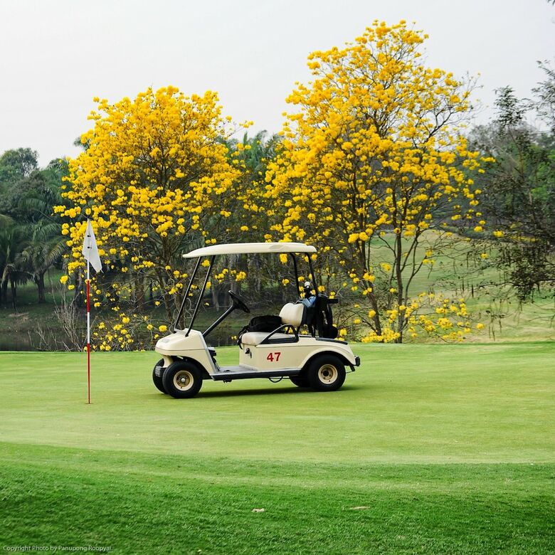 Hotel The Royal Chiangmai Golf Resort