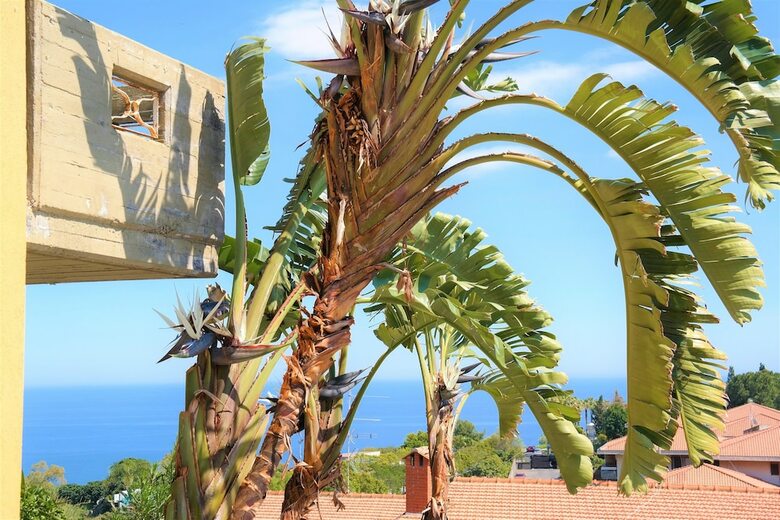 Apartamento Villa Alba