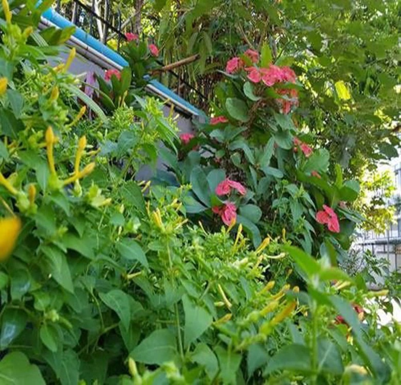 Beautyland Hotel Bo Cho