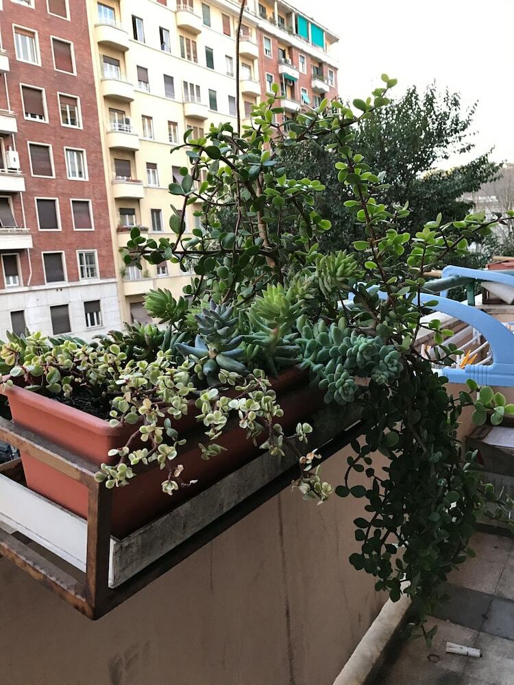 Hotel Pardis
