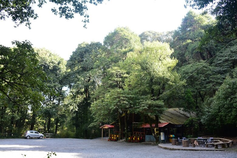 Hotel Ayar Jungle Lodges