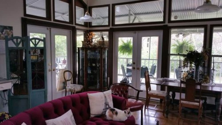 Bed & Breakfast Fig Tree Manor