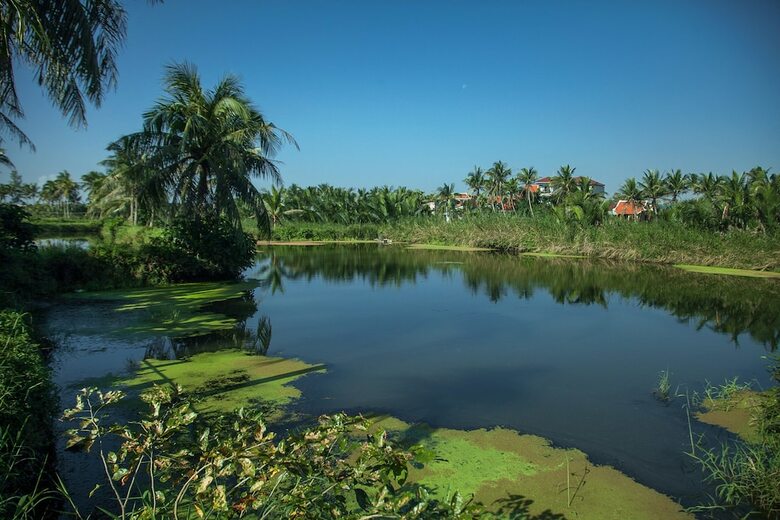 Hotel An Villa Hoi An