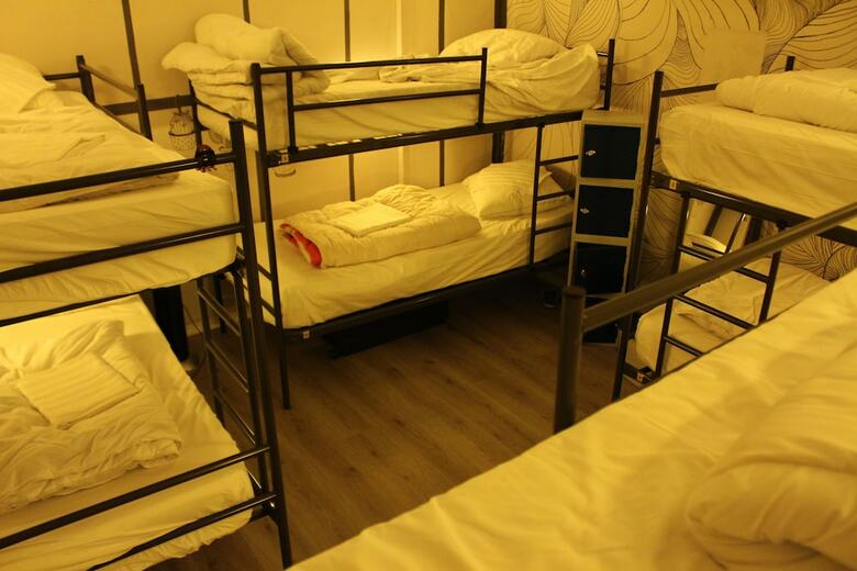 Hostal The Golden Stork - Hostel