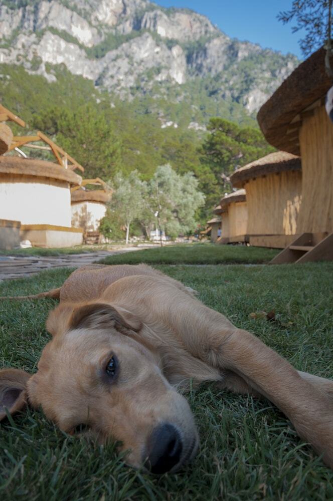 Hotel Chakra Beach Kabak