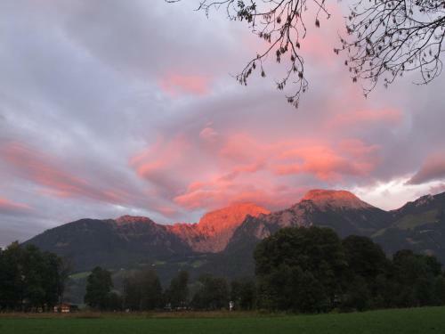 Apartamento Alpenhof Punzenlehen
