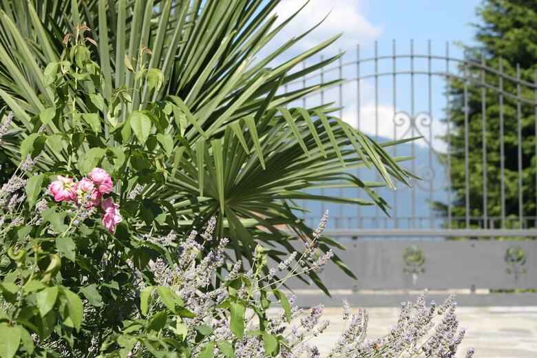 Balcone Fiorito Bed & Breakfast