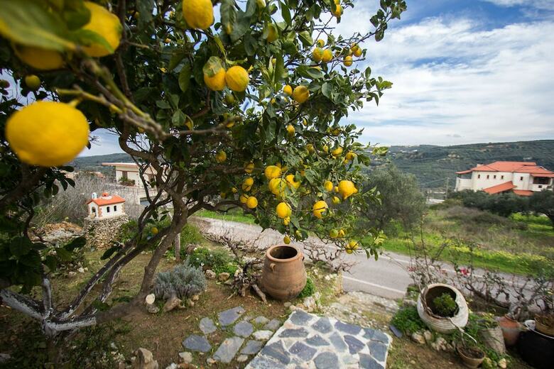 Traditional Family Cretan Home!