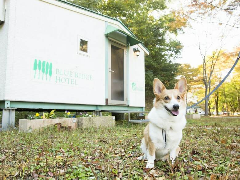 Blue Ridge Hotel