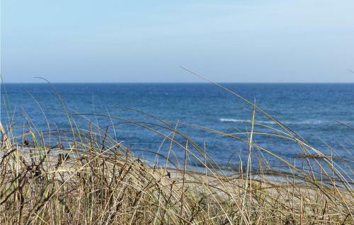 Strandpark 12 L