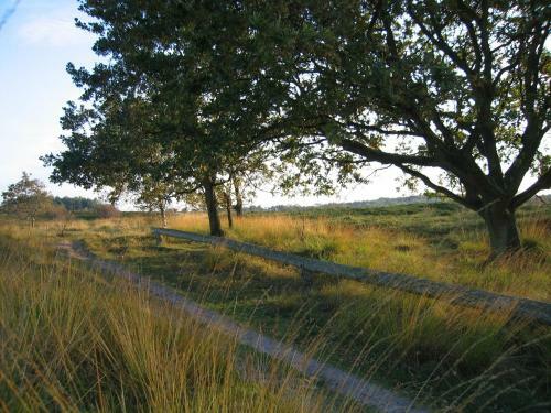 Hostal Haus Witten H�hen