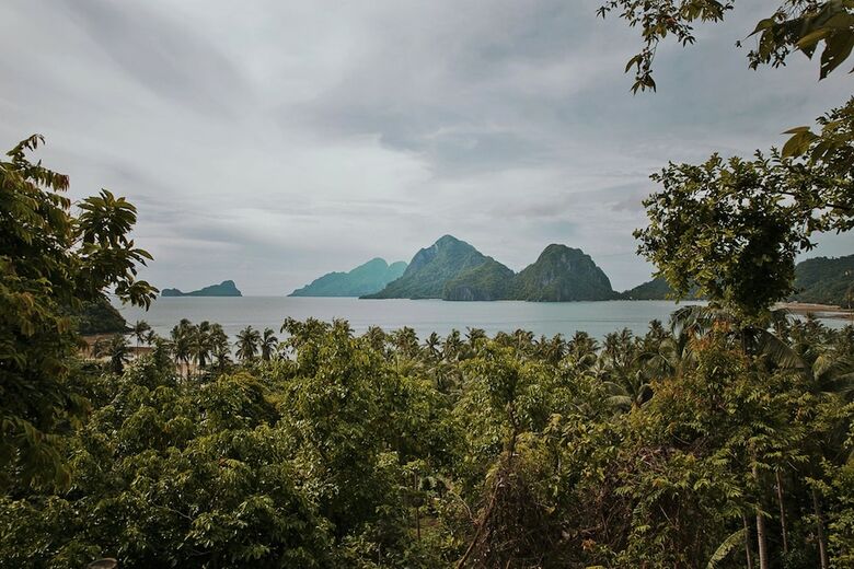 The Birdhouse El Nido