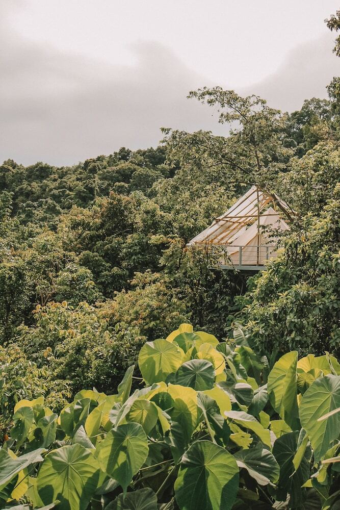 The Birdhouse El Nido