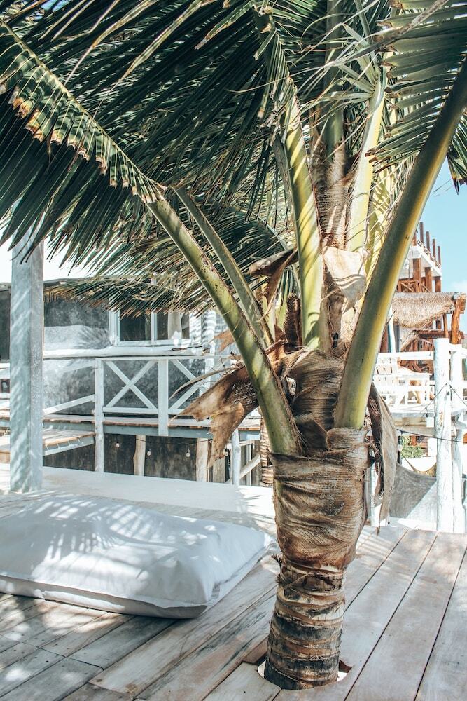 Hotel Posada Lamar Tulum