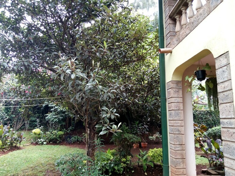Hostal Milimani Backpackers