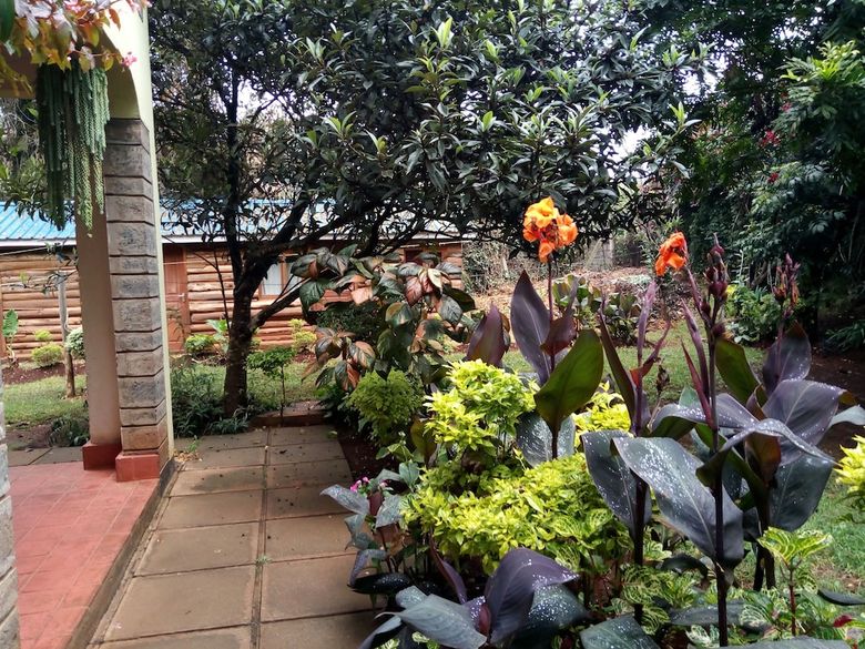 Hostal Milimani Backpackers