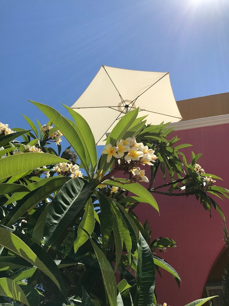 Saint Artemios Hotel And Oriental Suites