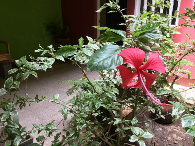 Hotel El Caite - Hostel
