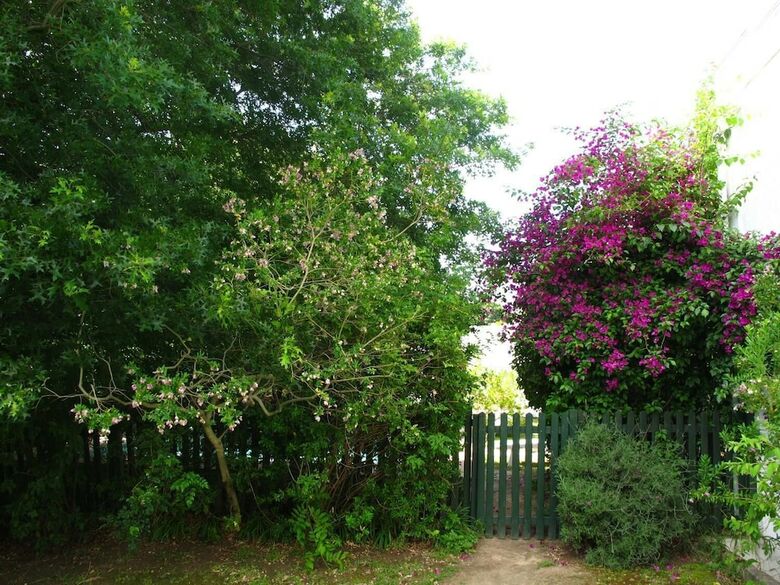 Apartamentos Sunny Lane