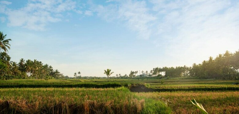 Hotel Ayu Duwur Beji
