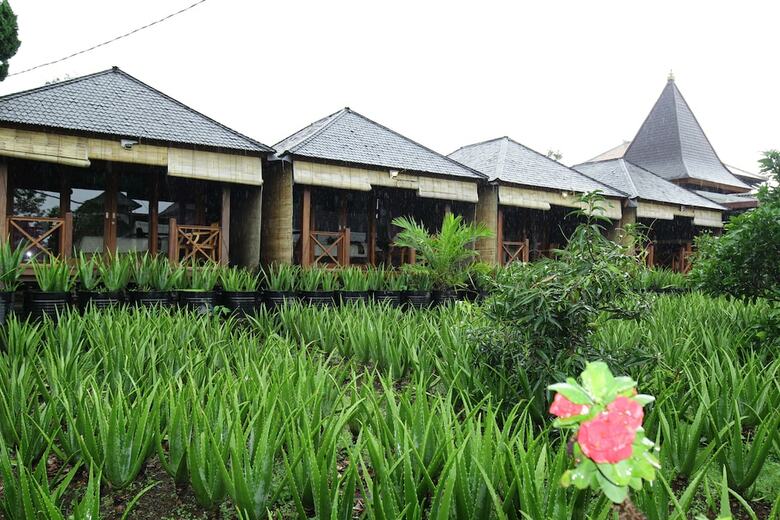 Hotel Puri Karang Besakih