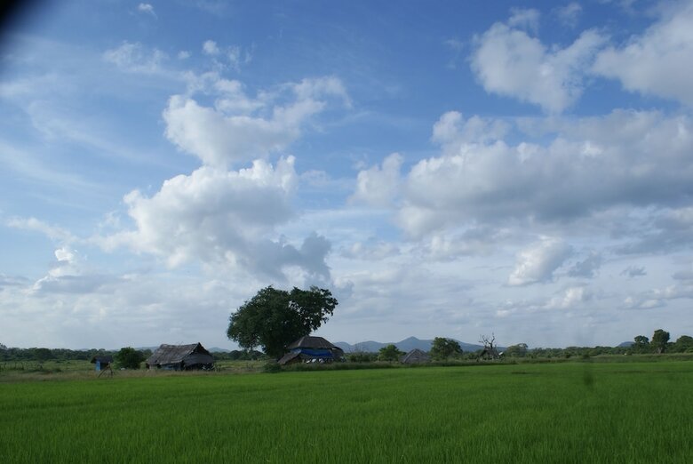 Jungle House Yala