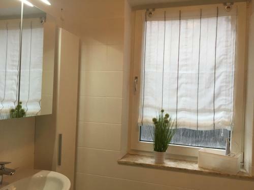 Apartamento Haus Nicole