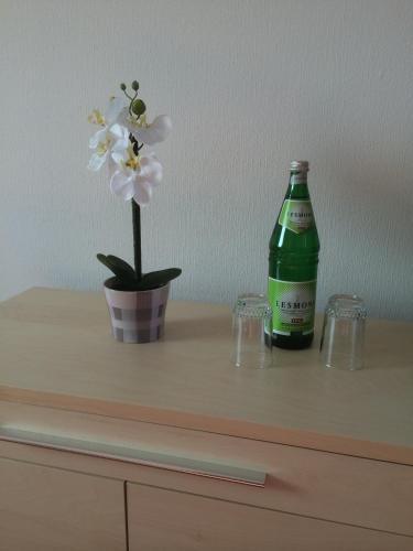 Apartamento Haus Nicole