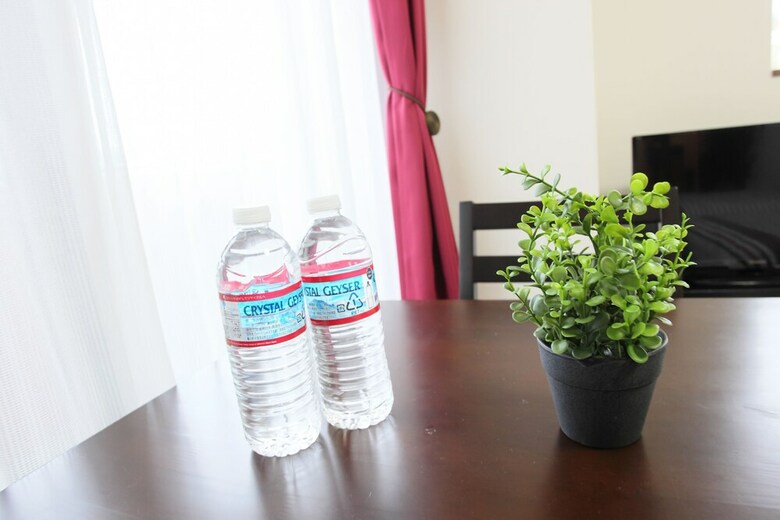 Apartamentos La Familia Yamasaka