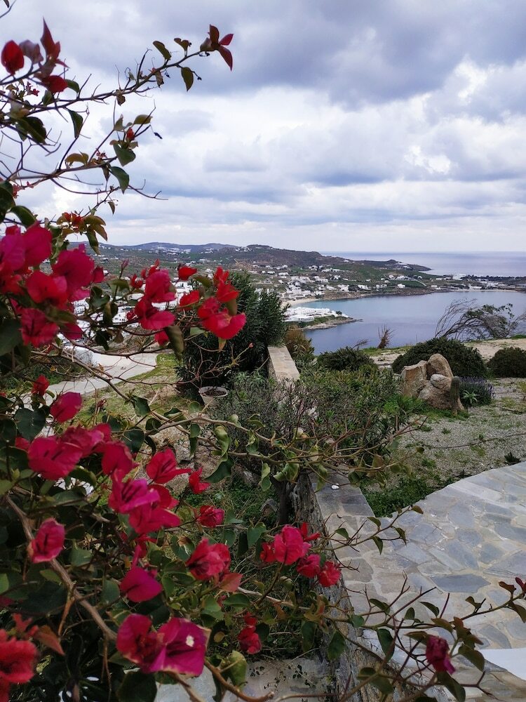 Apartamentos Mykonos Eterna Villa
