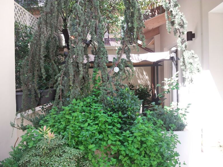Villa Ardesia