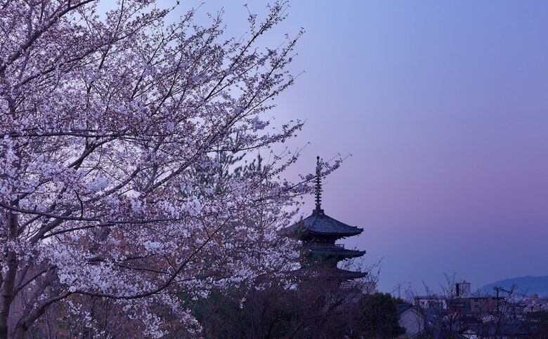 Hotel Ethnography Gion Shinmonzen