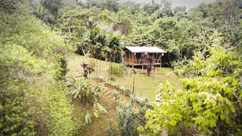 Posada Naguala Jungle Lodge