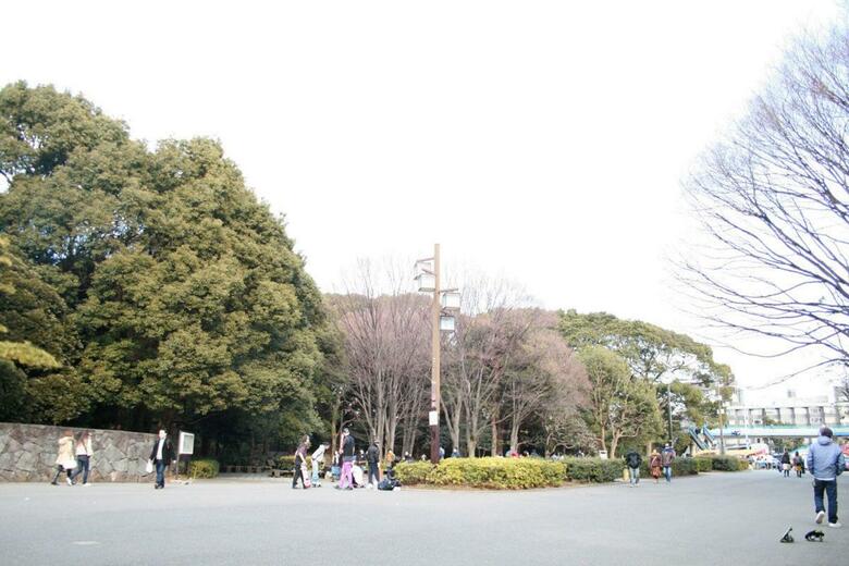 Apa Hotel Akihabaraeki Denkigaiguchi