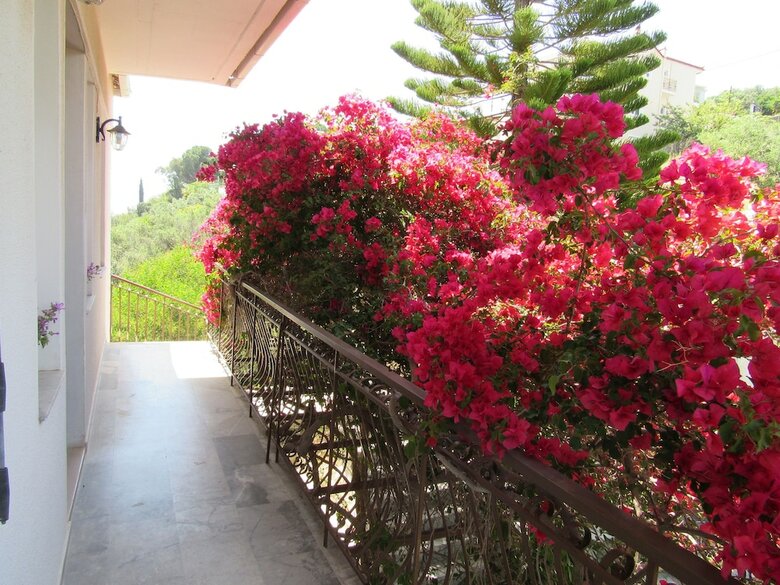 Apartamentos Kalypso Guesthouses