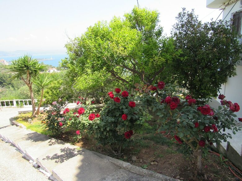 Apartamentos Kalypso Guesthouses