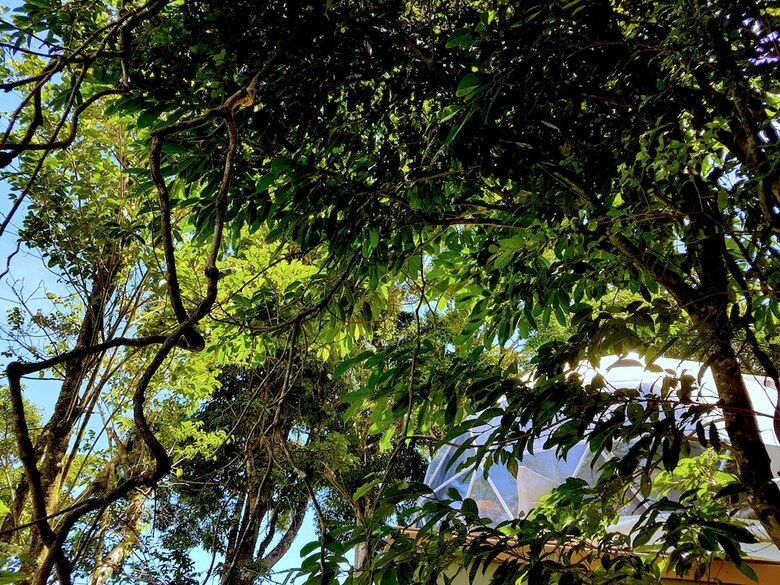 Cabana Chira Glamping Monteverde