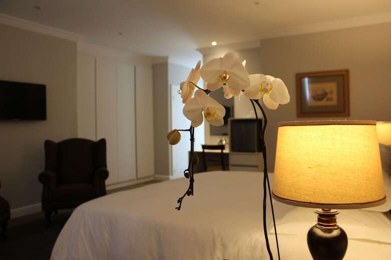 Bed & Breakfast Van Der Stel Manor