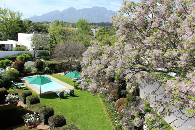Bed & Breakfast Van Der Stel Manor