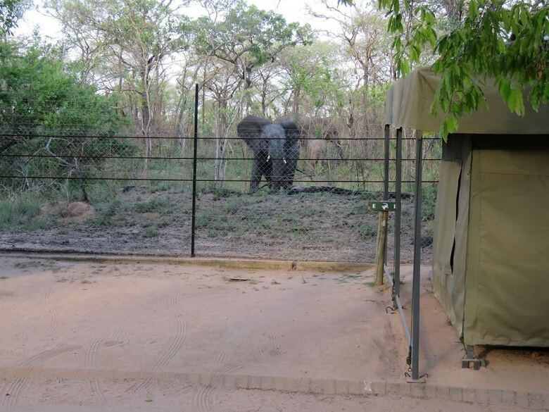 Tented Adventures Pretoriuskop Rest Camp
