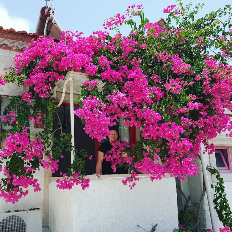 Hotel Narcicegi Butik Otel Alacati