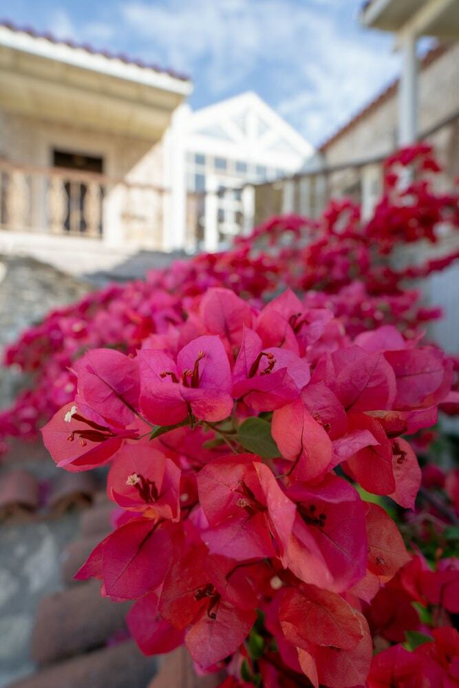 Nobela Yalcinkaya Hotel
