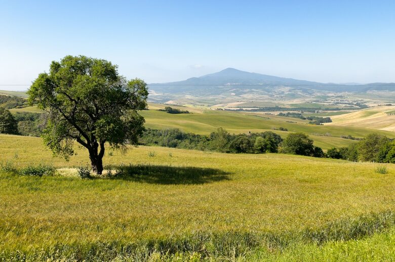 Agroturismo Agriturismo Le Macchie