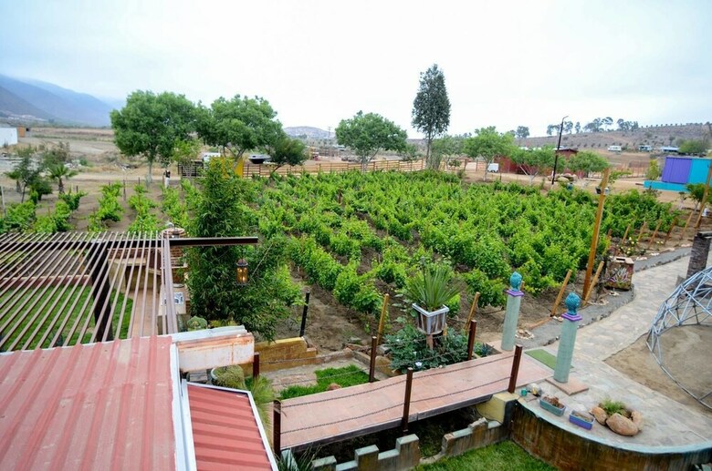 Ecl�ctico Guadalupe