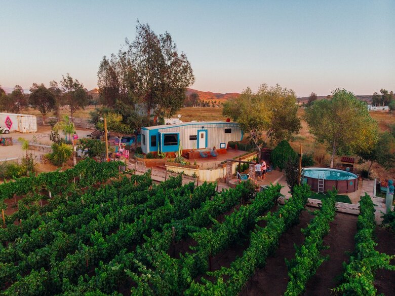 Ecl�ctico Guadalupe