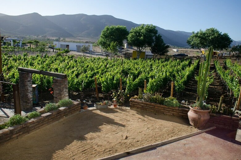 Ecl�ctico Guadalupe