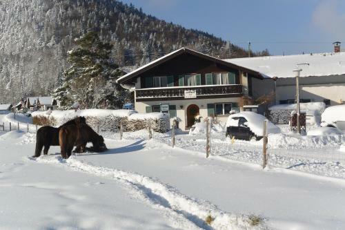 Hostal G�stehaus D�ring