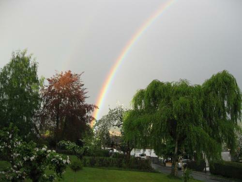 Hostal G�stehaus Steininger