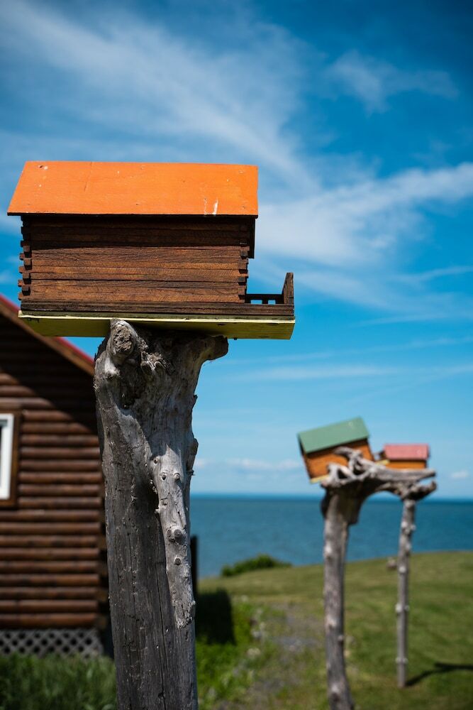 Patty's Beach Chalets