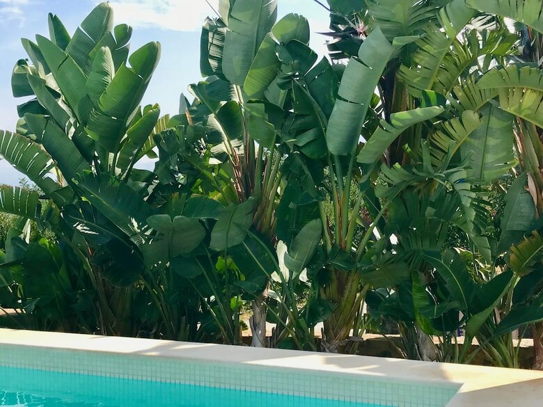 Creta Blue Boutique Hotel